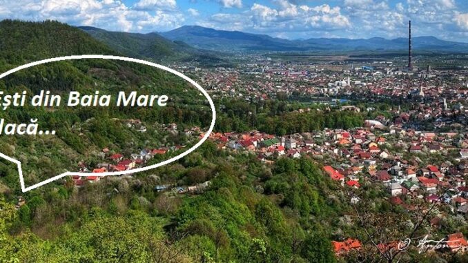 esti din baia mare daca