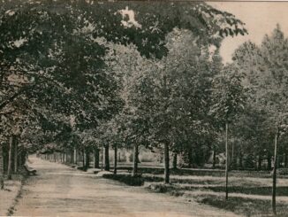 parcbaiamare
