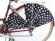 skirtbike2014