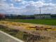 campul tineretului din baia mare