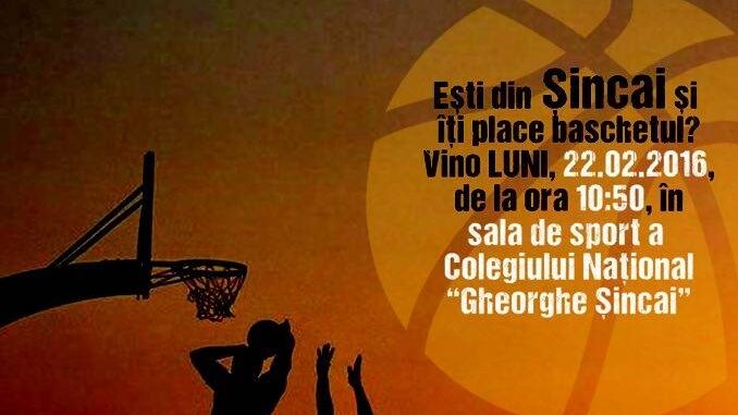 club sportiv din baia mare club sportiv din baia mare