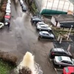 vital baia mare