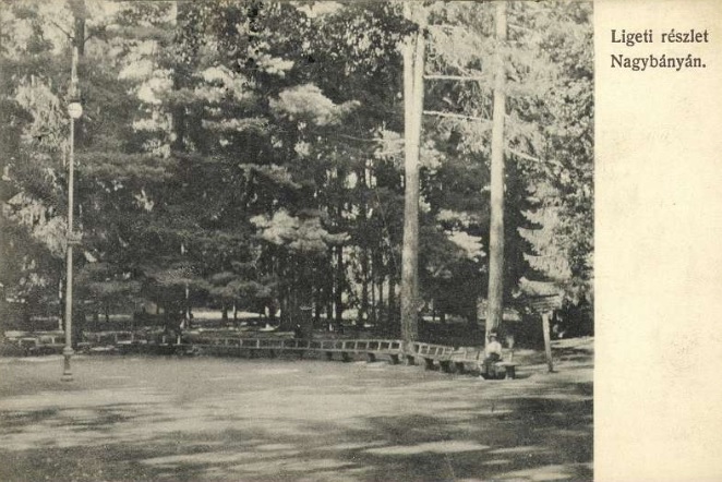 parc-baia-mare-1890