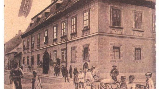primaria din baia mare