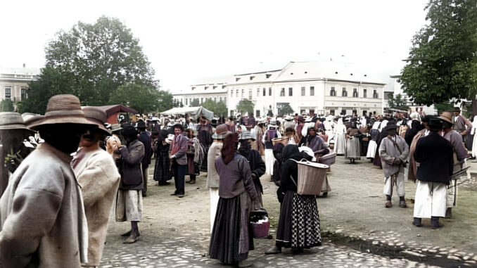 zi de targ in baia mare