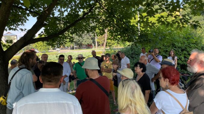 piata universitatii baia mare