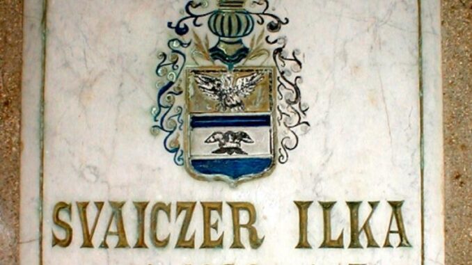 svajczer ilka