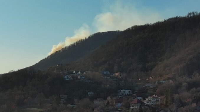 incendiu de vegetatie