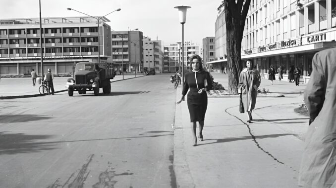 tres chic baia mare 1960