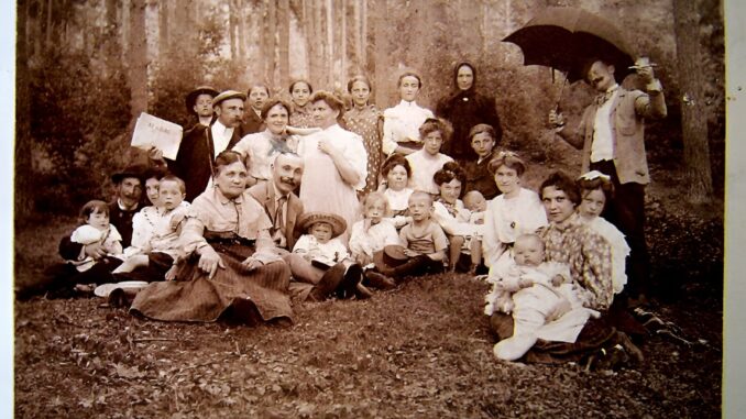 majalis baia mare 1900